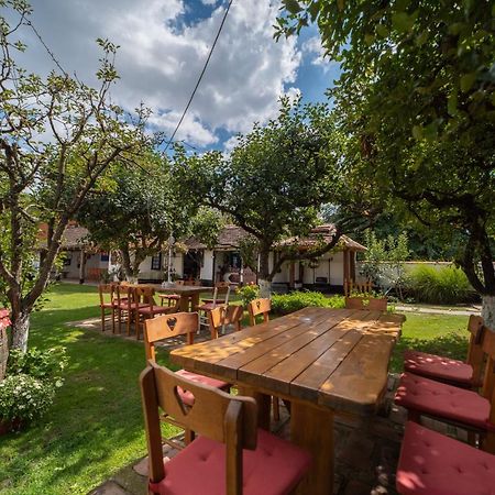 Domacinstvo Cikic Zasavica Casa de hóspedes Exterior foto