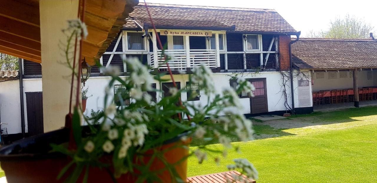Domacinstvo Cikic Zasavica Casa de hóspedes Exterior foto