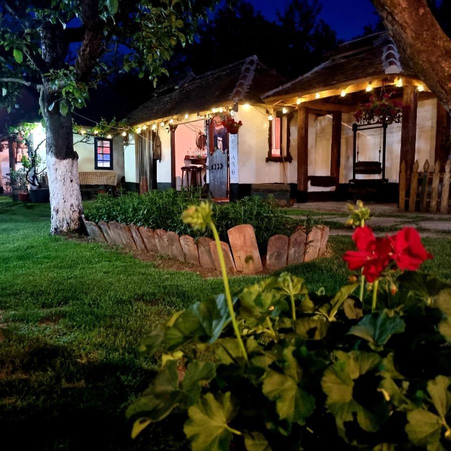 Domacinstvo Cikic Zasavica Casa de hóspedes Exterior foto