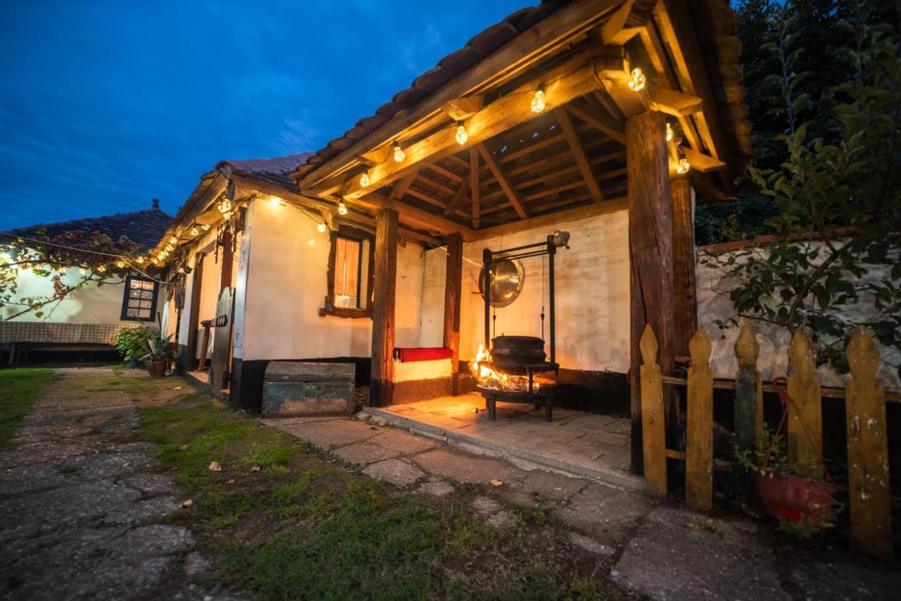Domacinstvo Cikic Zasavica Casa de hóspedes Exterior foto