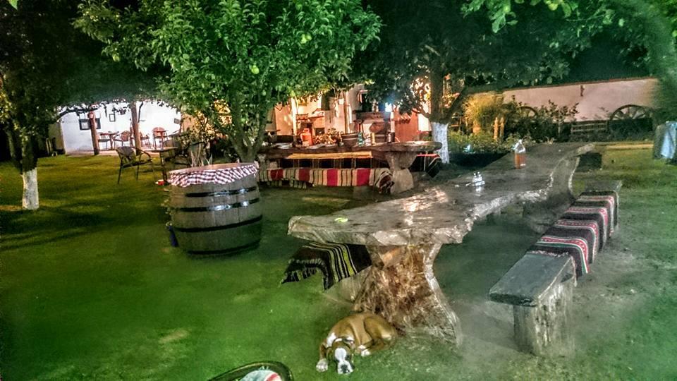 Domacinstvo Cikic Zasavica Casa de hóspedes Exterior foto